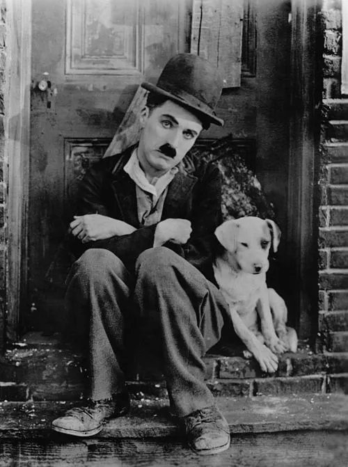 4 Chaplin_A_Dogs_Life Chaplin in A Dog’s Life with dog companion